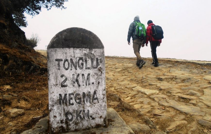 Camping in Tonglu hill, Darjeeling